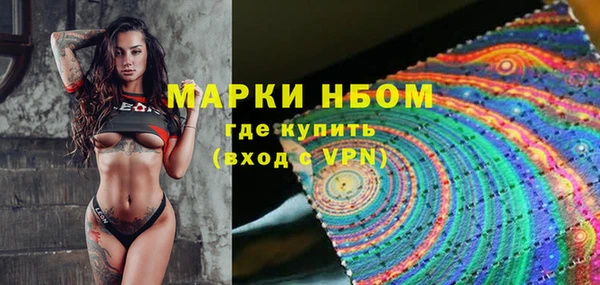 стаф Елабуга