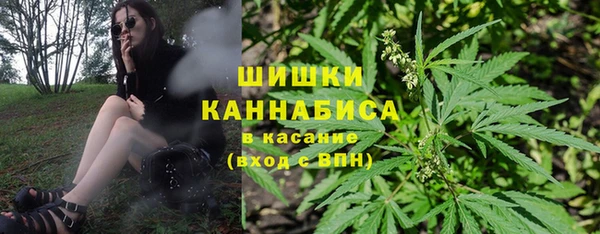 прущая мука Ельня