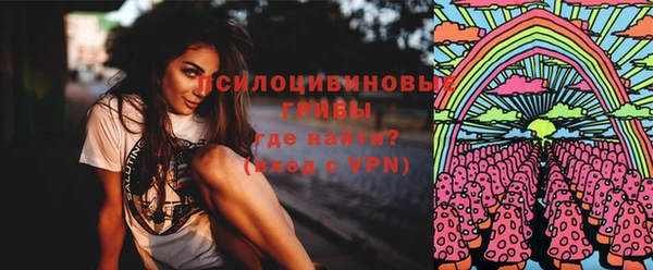 прущая мука Ельня