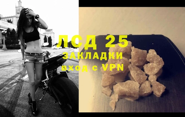 стаф Елабуга