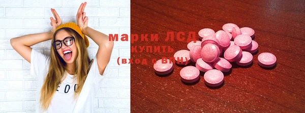 стаф Елабуга