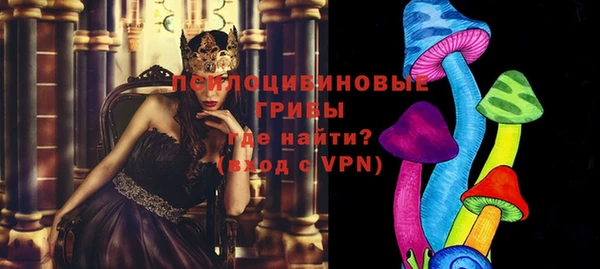 стаф Елабуга